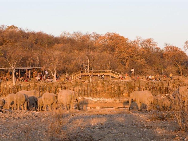 Halali Camp Hotell Etosha Exteriör bild